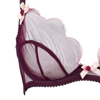 Purplish Red Embroidered AP Tulle Bra & Panty Set for Big Busts