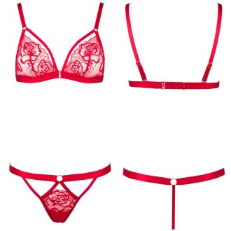 Red Rose Embroidered Halter Neck Diamond Chain French Triangle Cup Cut Out Low Waist Panty Set for Women