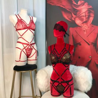 Sexy Embroidered Gold Triangle Cup Bra & Panty Set with Hollow Straps