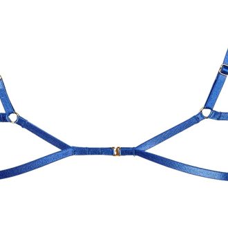 Mermaid Blue Sexy Bra Set with Steel Support for Large Breasts (CD Cup)