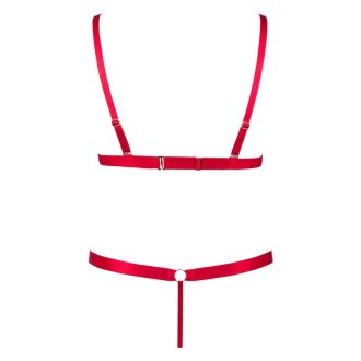 Rhinestone Halter Rose Embroidered Bralette & Thong Set