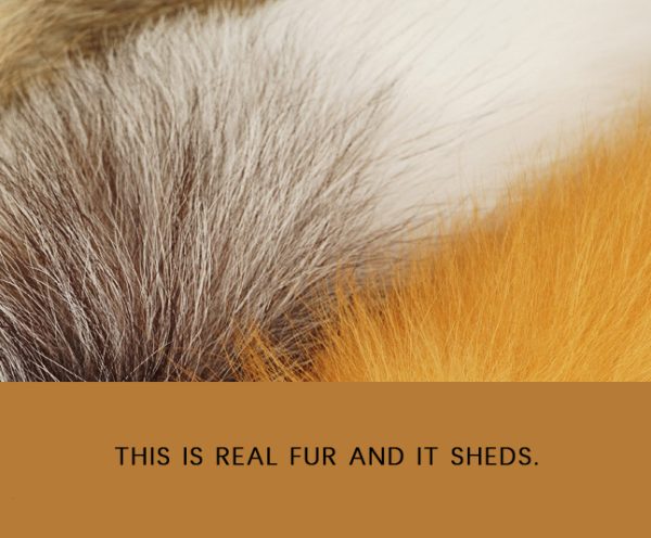 Kim island fox tail anal plug（22mm） - Image 4
