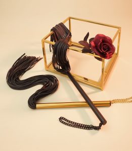 Sexual Training Whip: A Sensory Game and Pleasure Enhancement Tool