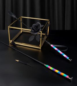 Riding Crop: Training Whip for Equestrian & Discipline Play