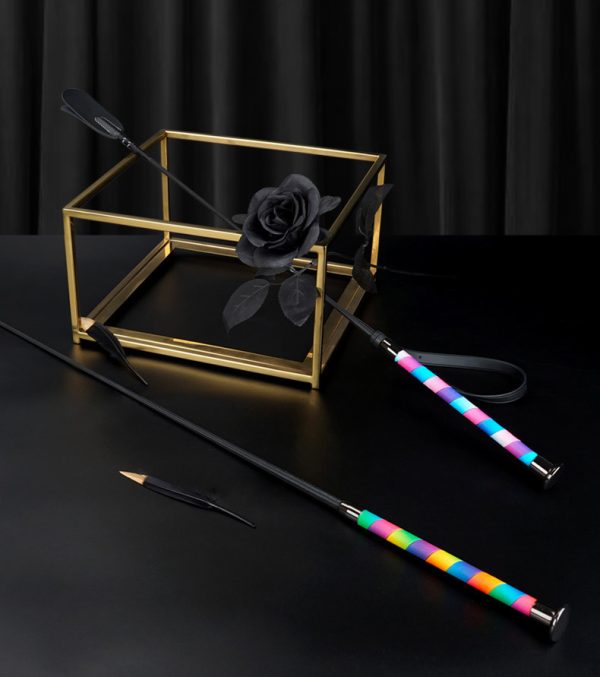 SP punishment training riding crop