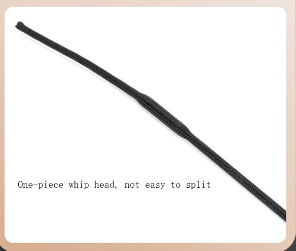 SP punishment training riding crop - Image 10