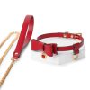 Red bow tie training and punishment puppy attribute erotic leash collar