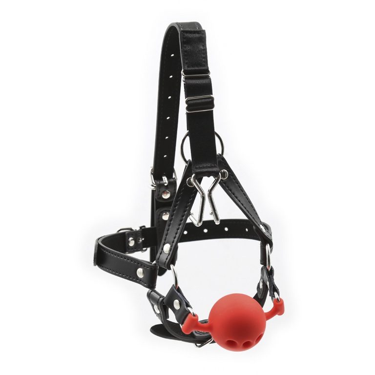 Nose hook type erotic ball gag head covering