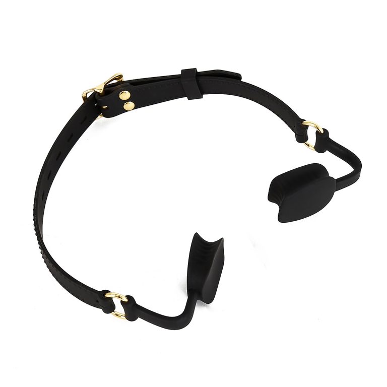 Adjustable sex gag gag