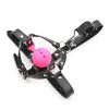 Nose hook type erotic ball gag head covering