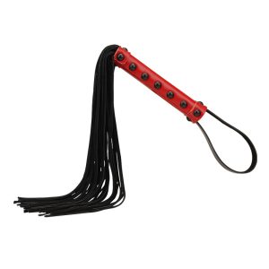 Private Part Punishment Sex Training Whip