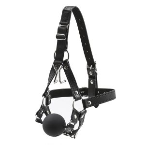 Nose hook type erotic ball gag head covering