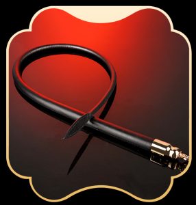 Luxury Leather Training Whip: Premium Willow Leaf Design for Sensual Play