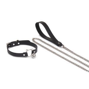 High-end players niche interest traction outing training K9 collar