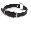 High-end players niche interest traction outing training K9 collar