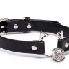 High-end players niche interest traction outing training K9 collar