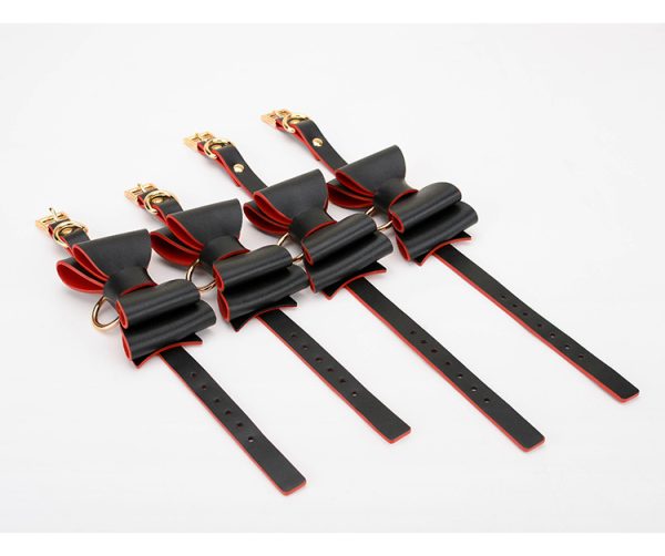 BDSM alternative fun storage PU leather material bow bondage training set (10 pieces) - Image 14