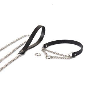 High-end players niche interest traction outing training collar