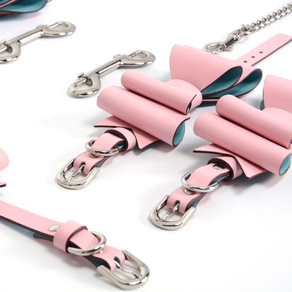 BDSM alternative fun high-end genuine leather female companion bondage training set (17 pieces)