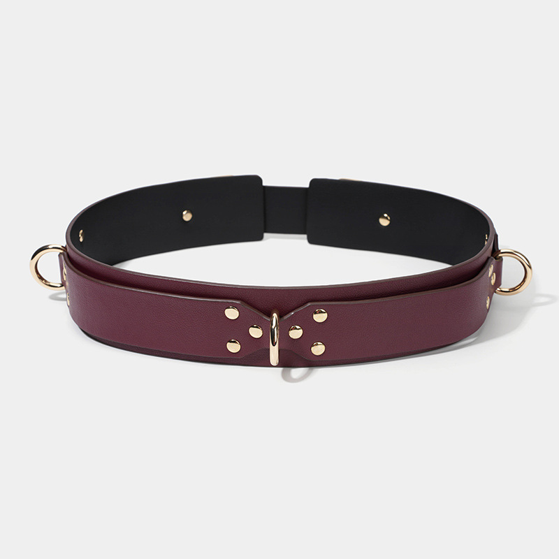 BDSM alternative sexy high-end PU leather material female companion bondage training set (16-piece set) - Image 20