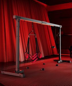 Sex classroom: double fun training bondage door frame
