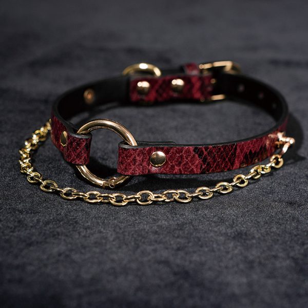 Niche snakeskin pattern ring PU leather material fun training collar