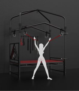 BDSM professional sex training room torture style adult sex fantasy iron bed