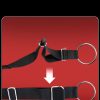 Fantasy sex games with sex swing