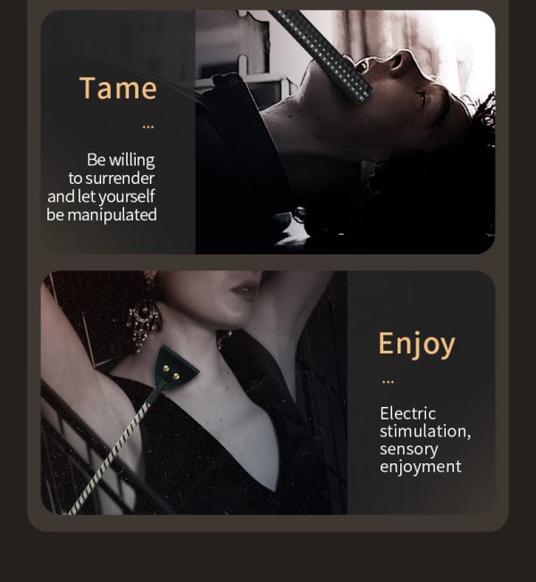 Adult sex electric shock leather spanking training stick female slave punishment torture instrument