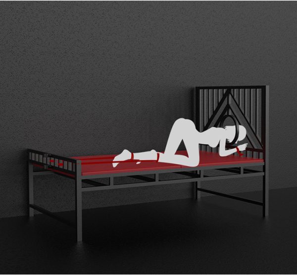BDSM professional sex training room torture style adult sex fantasy iron bed