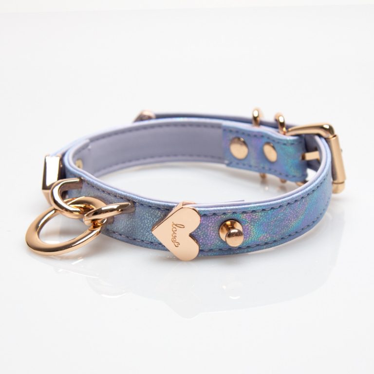 Original design niche laser gradient leather traction collar (including traction rope)
