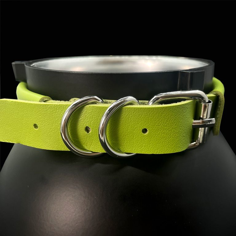 Original design niche punk style Charmander stand collar (without leash) - Image 12