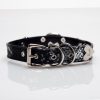 Original design niche laser punk style snakeskin pattern traction collar (including leash)