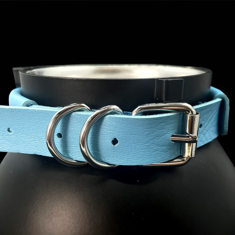 Original design niche punk style Charmander stand collar (without leash) - Image 20