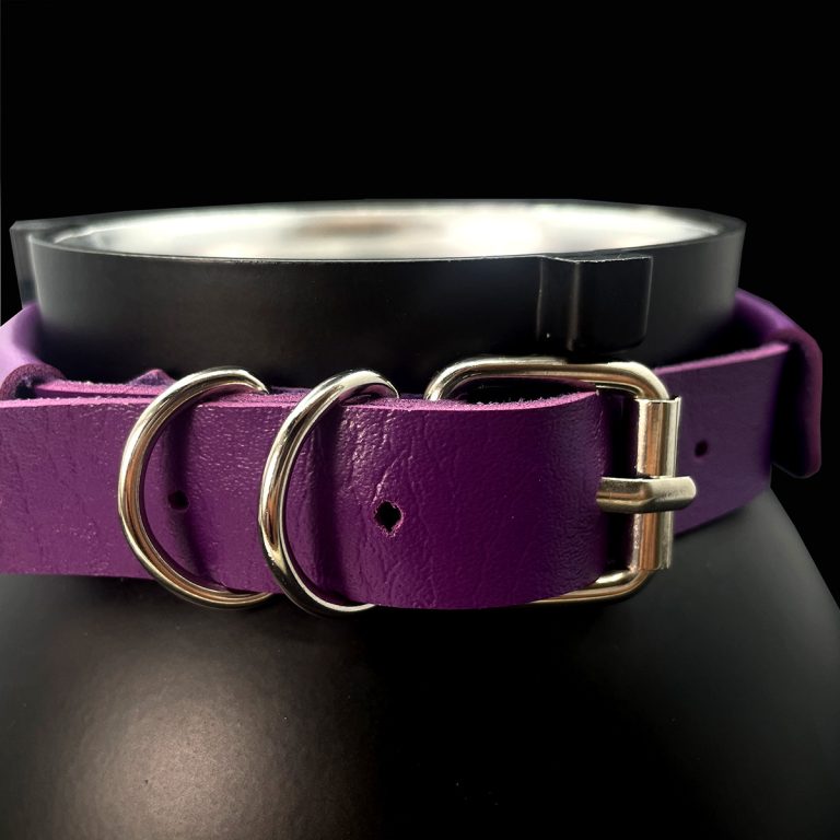 Original design niche punk style Charmander stand collar (without leash) - Image 23