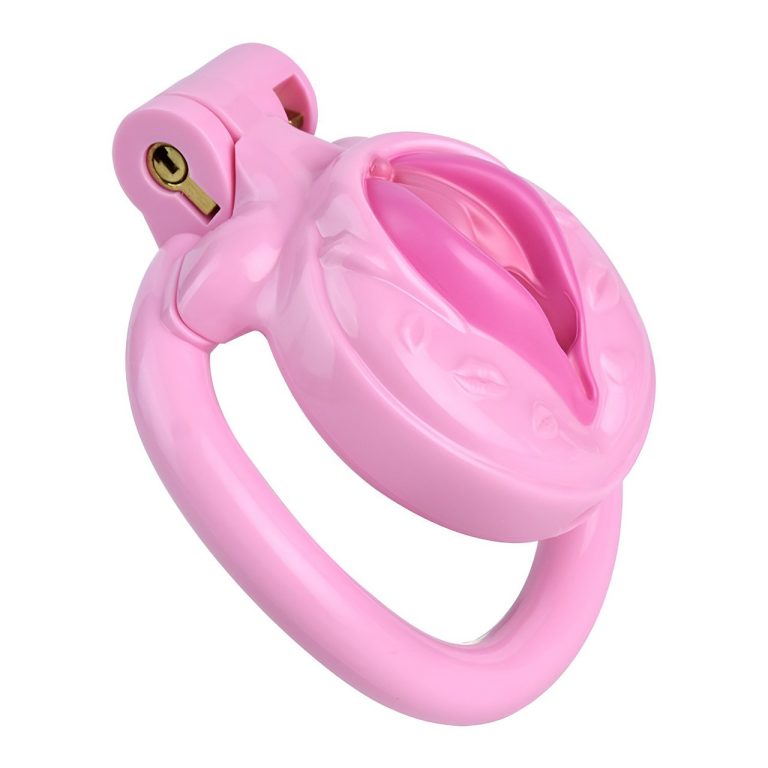 TS transvestite uses imitation female genital chastity lock - Image 54