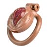 TS transvestite uses imitation female genital chastity lock