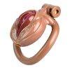 TS transvestite uses imitation female genital chastity lock