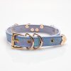 Original design niche laser gradient leather traction collar (including traction rope)
