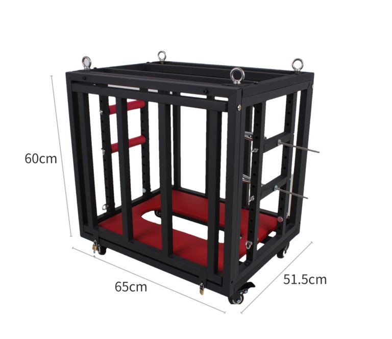 BDSM sex training puppy cage