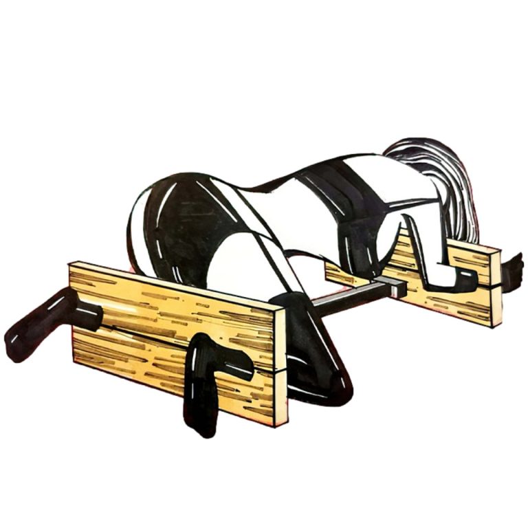 BDSM kneeling wooden shackles sex training torture device (including electric masturbation dildo)