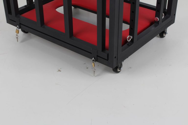 BDSM sex training puppy cage