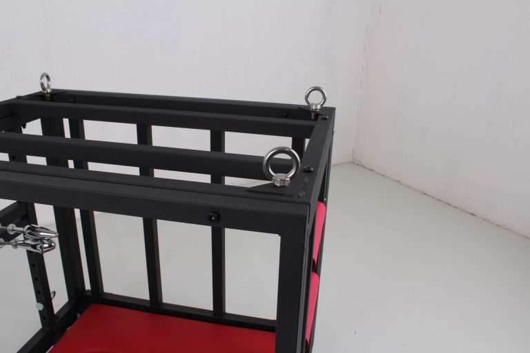 BDSM sex training puppy cage