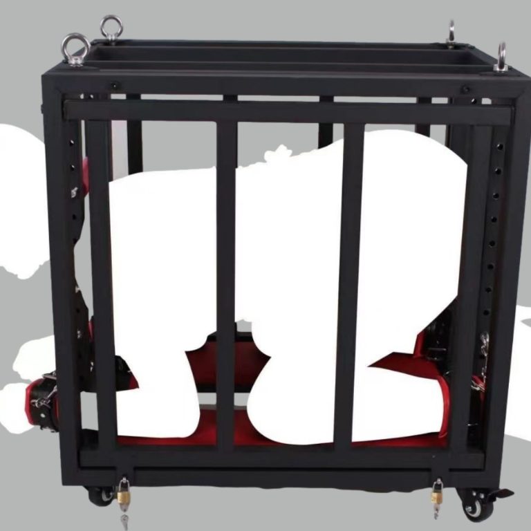 BDSM sex training puppy cage