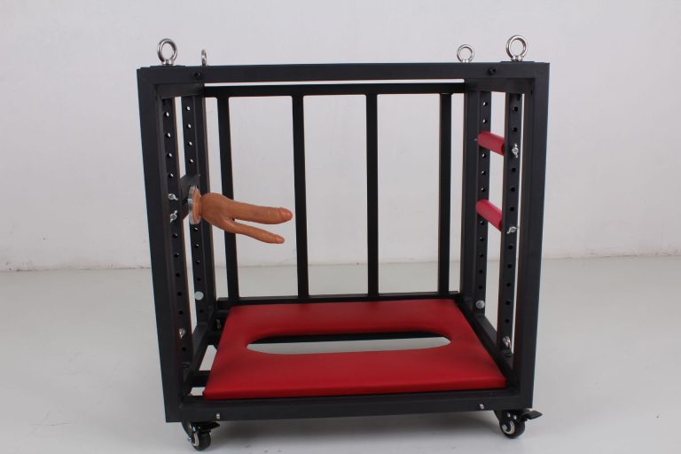 BDSM sex training puppy cage