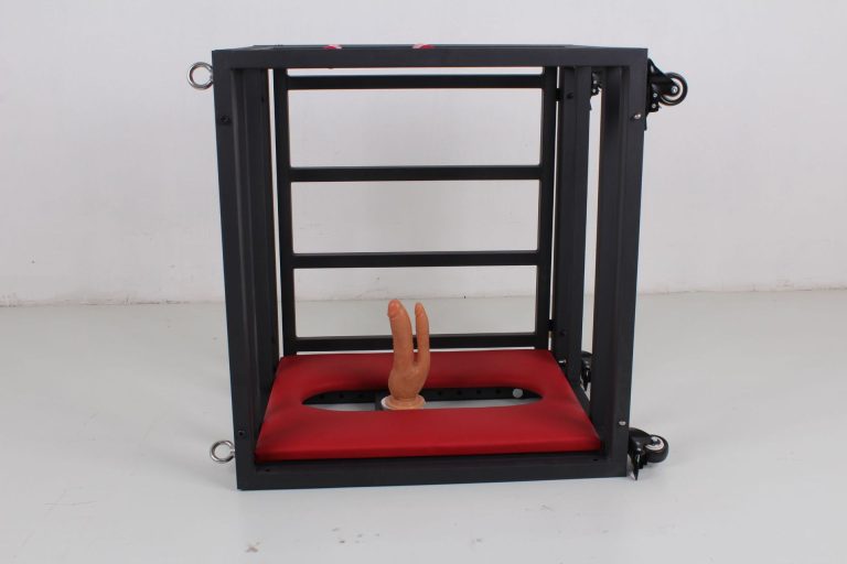 BDSM sex training puppy cage - Image 14