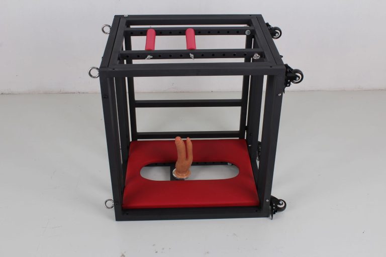 BDSM sex training puppy cage