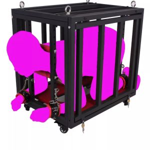 BDSM sex training puppy cage
