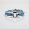 Blue stylish simple collar (without leash)