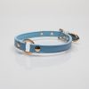 Blue stylish simple collar (without leash)